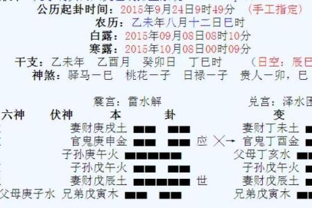 六爻排盘宝免费版使用指南与技巧分享