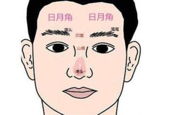 额头突出的人生优势与挑战