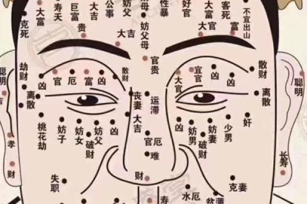 揭开痣相算命的神秘面纱