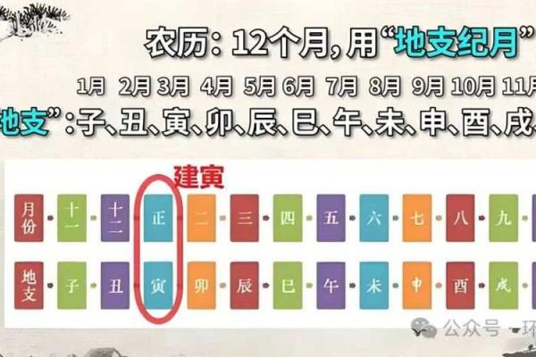 深入了解天干地支纪年法查询方法与应用