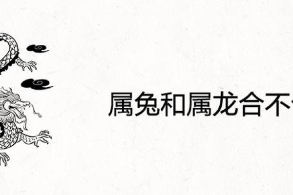 属龙与属兔的性格差异与相处之道