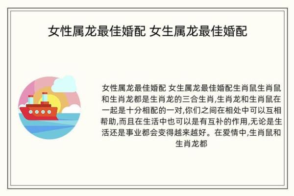 属龙与属兔的性格差异与相处之道