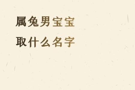 男宝宝名字的选择：寓意、音韵与流行趋势