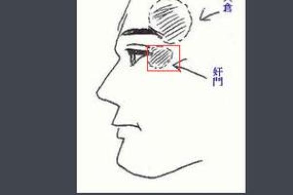 面相中的太阳穴：隐藏着你命运的秘密