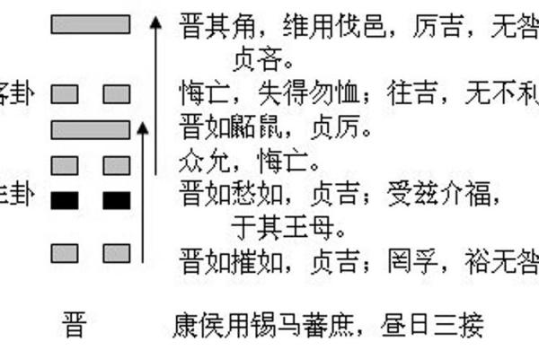 梅花易数排盘软件免费下载与安装指南