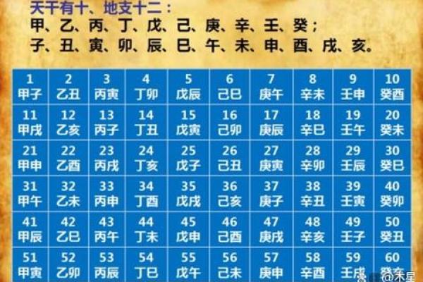 天干与属相的神秘联系解析