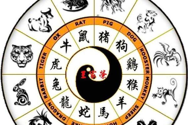 天干与属相的神秘联系解析