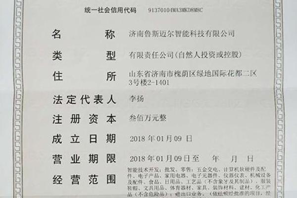 智能科技公司命名技巧与创意指南