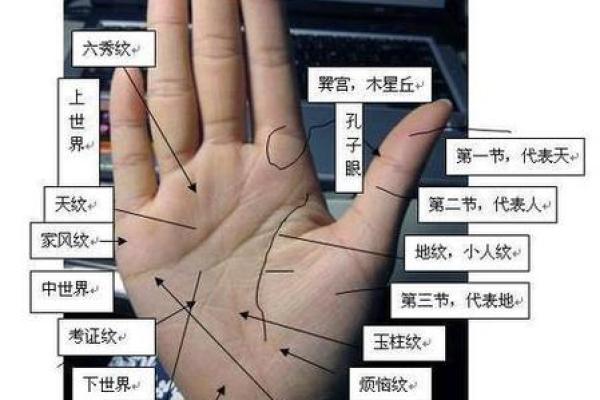 掌纹透露生孩子的命运：如何通过手相看育儿之道