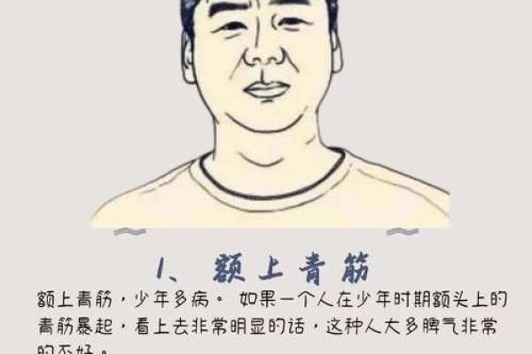 鼻子尖面相的性格与命运解读