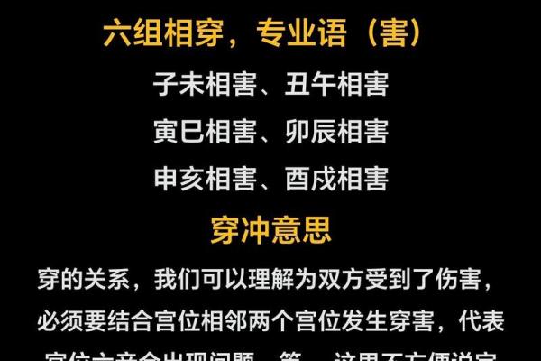 天干与命理：破解五行中隐藏的命运之谜