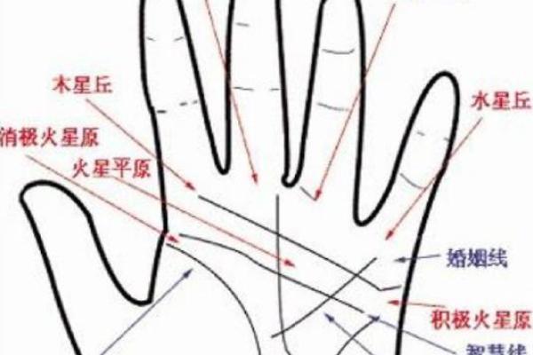 看手相识别大器晚成的人格特征