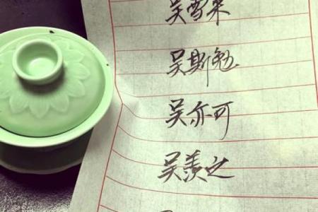 为夏姓女宝宝挑选一个寓意深远的名字