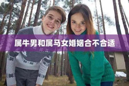 属马与属龙的缘分如何？探讨两者的配对与性格匹配