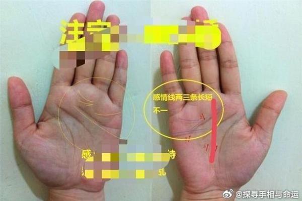 手相贵命的真相：掌纹中隐藏的财富和好运