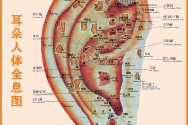 解密面相学：从五官看你未来的命运