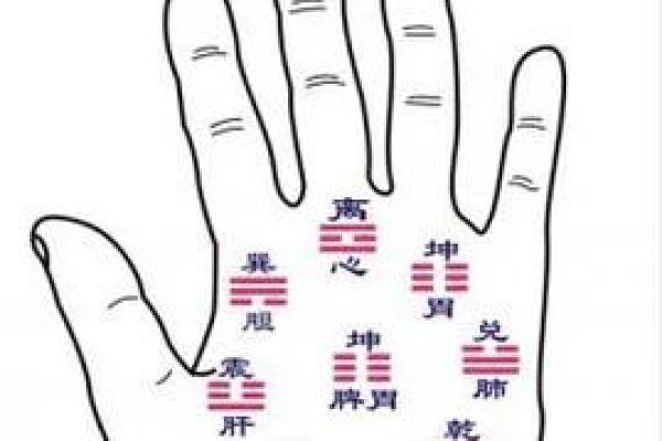 掌中玄机：如何通过手相预测子女的性格与未来