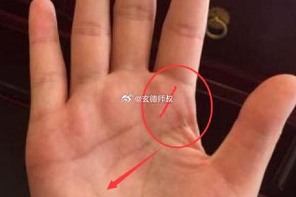 掌中玄机：如何通过手相预测子女的性格与未来