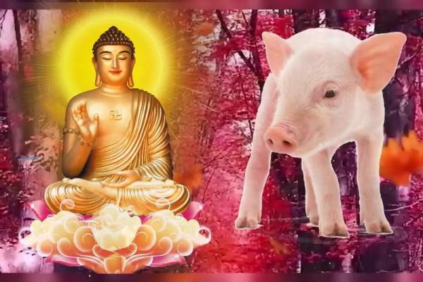 属猪男和属牛女能走多远？看看他们的性格契合度