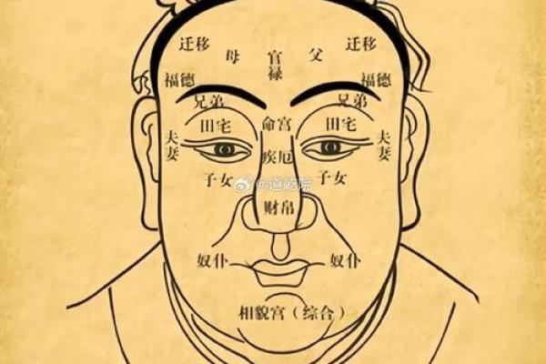 面相学入门：如何通过面部特征分析性格