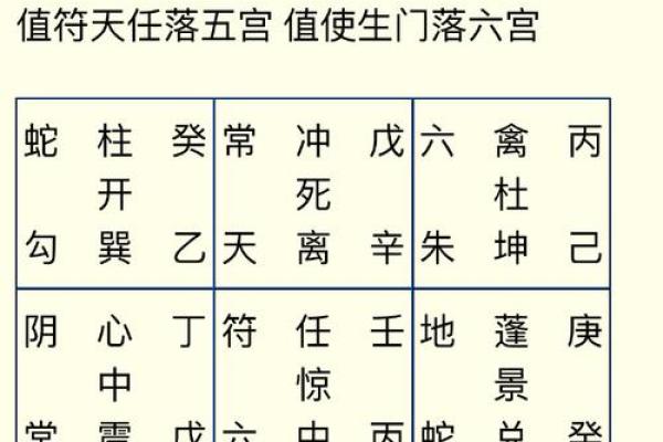属蛇与属狗的性格差异与婚姻契合度