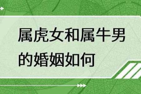 属牛男与属蛇女的缘分与挑战：是否天作之合？