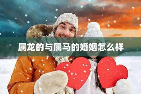 属龙和属马的性格差异及婚配分析