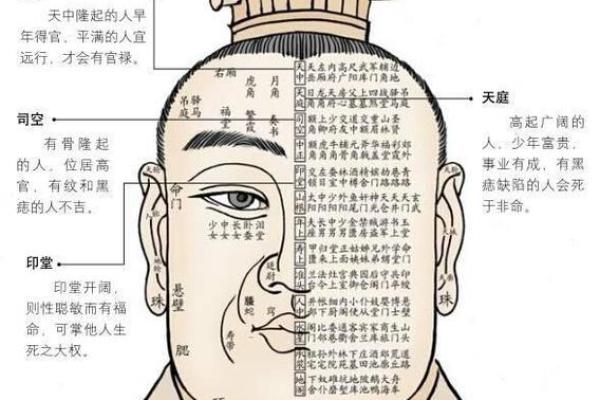 如何从面相看出一个人的财富运势