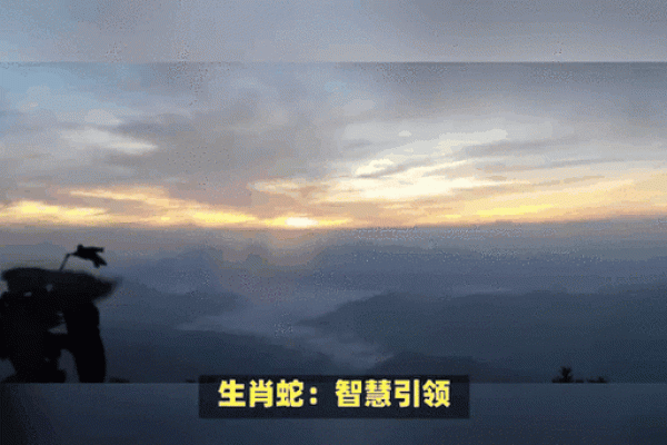 属龙男与属蛇女是否天作之合？揭秘生肖配对的秘密