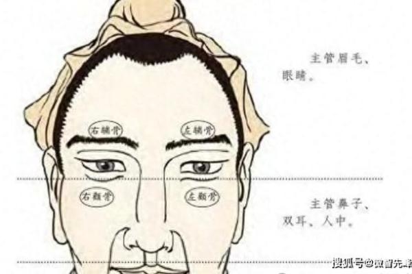面相入门技巧：如何通过面部特征解读性格与命运