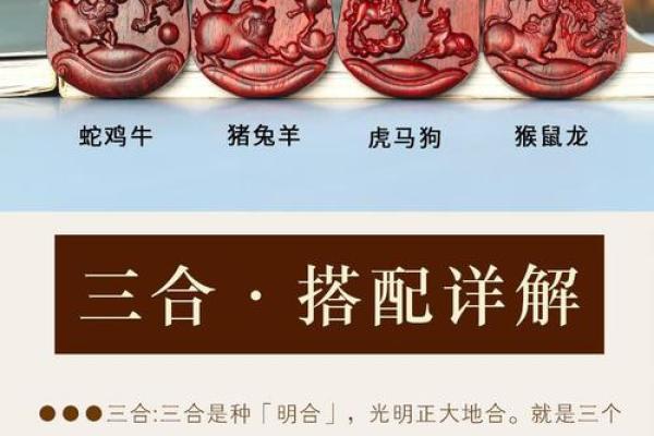属龙与属兔的配对分析：性格差异如何影响感情发展