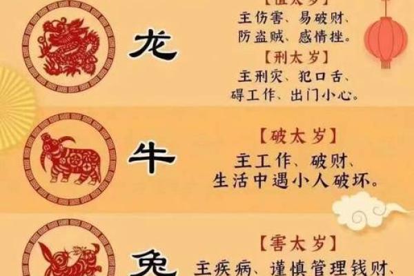 属龙与属兔的配对分析：性格差异如何影响感情发展