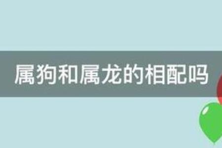 属狗与属龙的婚配运势：相配与否的关键因素
