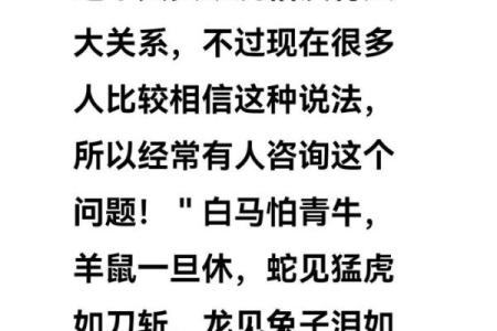 羊鼠属相婚姻相配吗？揭秘婚姻中的相生与相克