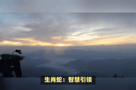 属龙男与属蛇女是否天作之合？揭秘生肖配对的秘密