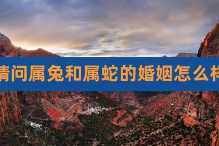 属兔女性与属牛男性婚姻合适吗？全面解析相配的可能性