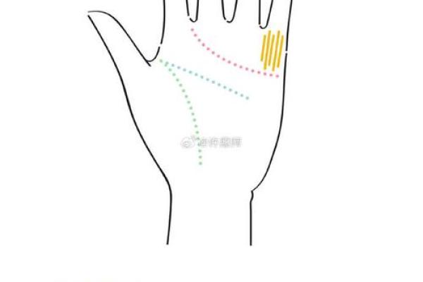 手相学入门：从掌纹看健康与财富