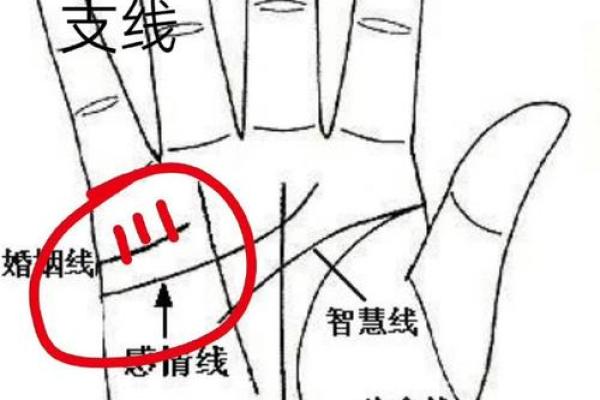 解读花心手相：掌纹透露的感情世界