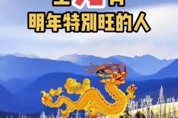 属马和属龙的配对怎么样？了解两者的相互吸引力