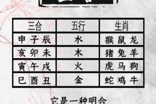 属马和属龙的配对怎么样？了解两者的相互吸引力
