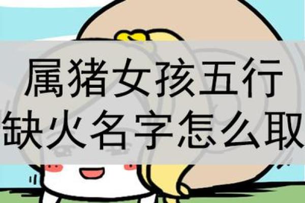 适合属猪宝宝的独特名字推荐