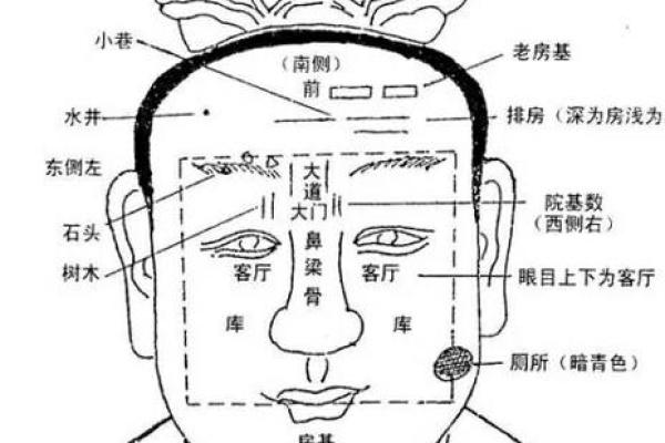 探秘痣相学：古代文化中的神秘符号与命运解析