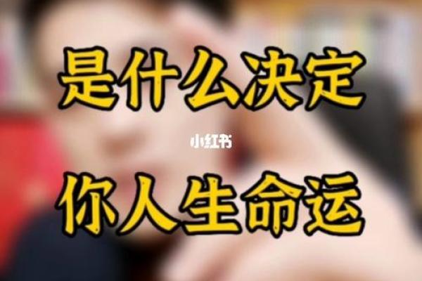免费紫薇排盘解读：探索你的命运密码与人生方向