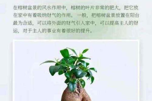 风水财位选择与布置技巧，财源滚滚来