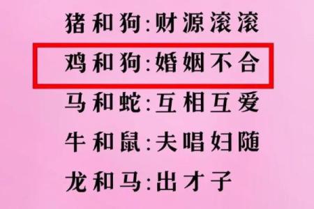 属狗男与属兔女的性格契合度揭秘