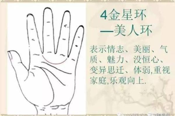 金星线手相的秘密：探索爱情与魅力的影响