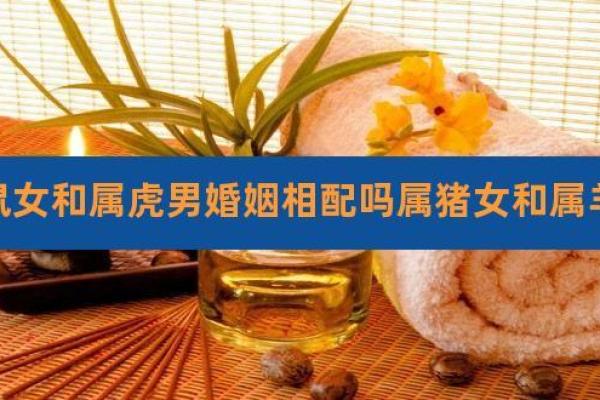 属猪男与属鼠女的婚姻相容性探讨