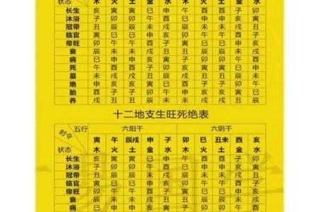 天干查询全攻略：准确识别天干的步骤和方法
