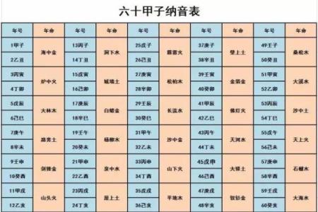 城头土命的命理解析与生活指导