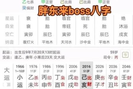 探索四柱排盘网：精准解读八字命理与人生走向